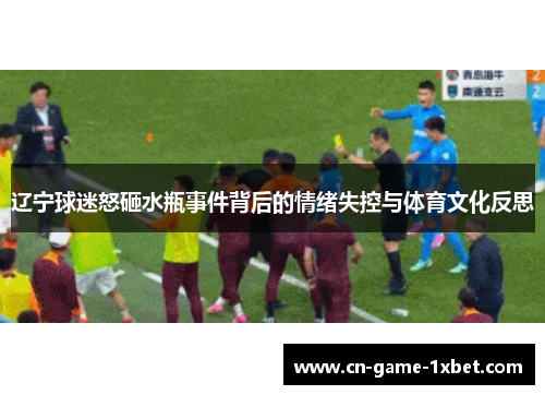 辽宁球迷怒砸水瓶事件背后的情绪失控与体育文化反思